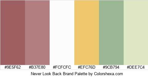 Never Look Back Brand Colors Logo