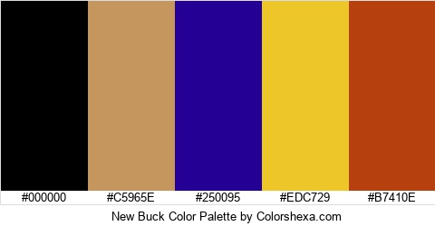 New Buck Color Colors Logo