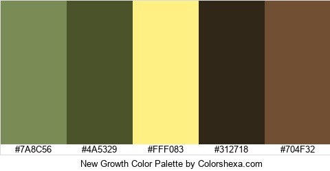 New Growth Color Colors Logo