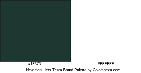 New York Jets Team Brand Colors Logo