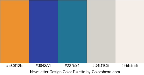 Newsletter Design Color Colors Logo
