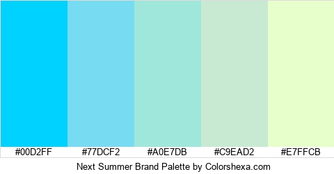 Next Summer Brand Colors Logo