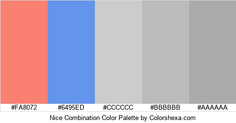 Nice Combination Color Colors Logo