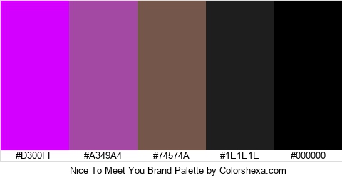 Nice To Meet You Brand Colors Logo