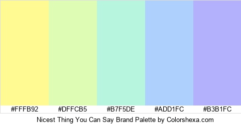 Nicest Thing You Can Say Brand Colors Logo