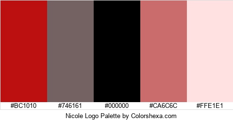 Nicole Logo Colors Logo