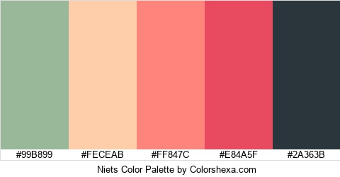 Niets Color Colors Logo