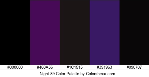 Night 89 Color Colors Logo