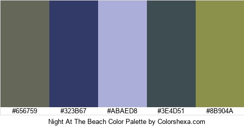 Night At The Beach Color Colors Logo