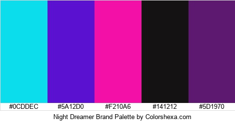Night Dreamer Brand Colors Logo