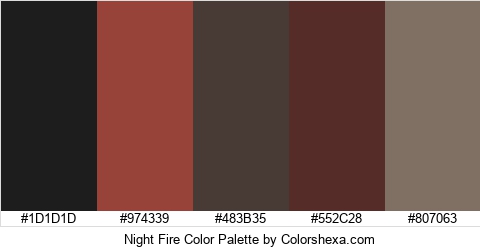 Night Fire Color Colors Logo