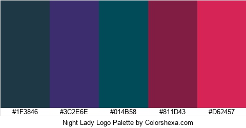Night Lady Logo Colors Logo