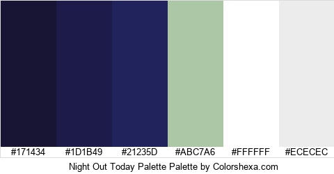 Night Out Today Palette Colors Logo
