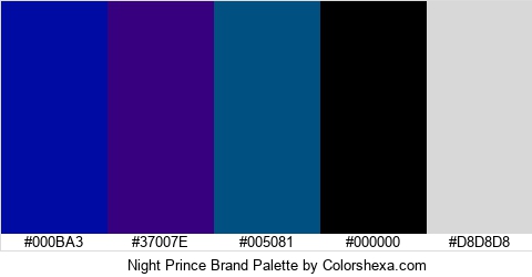Night Prince Brand Colors Logo