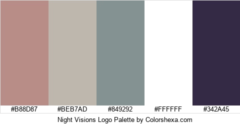 Night Visions Logo Colors Logo