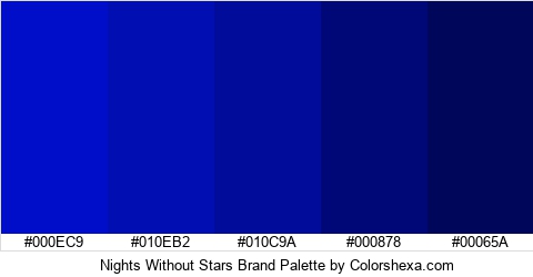 Nights Without Stars Brand Colors Logo
