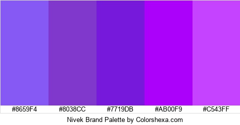 Nivek Brand Colors Logo
