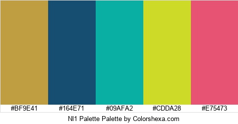 Nl1 Palette Colors Logo