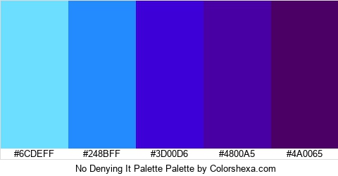 No Denying It Palette Colors Logo