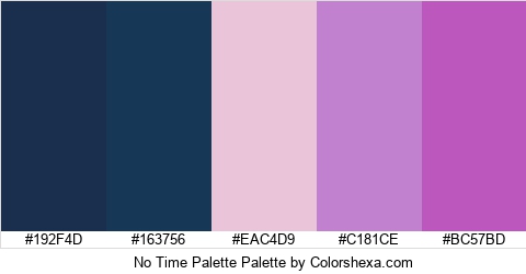 No Time Palette Colors Logo