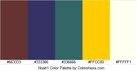 Noah1 Color Colors Logo