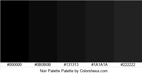 Noir Palette Colors Logo