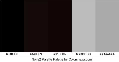 Noirs2 Palette Colors Logo