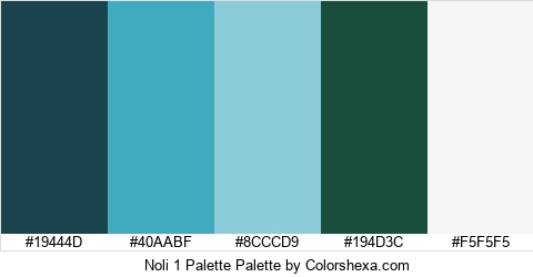Noli 1 Palette Colors Logo