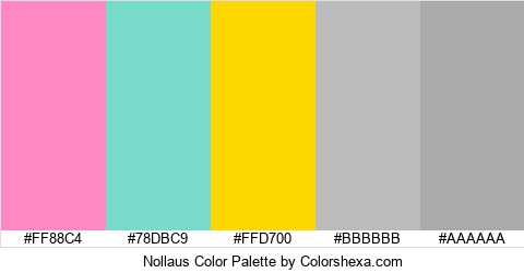 Nollaus Color Colors Logo