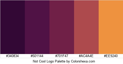 Not Cool Logo Colors Logo