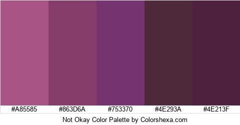 Not Okay Color Colors Logo