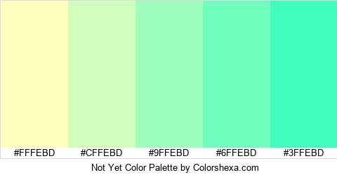 Not Yet Color Colors Logo