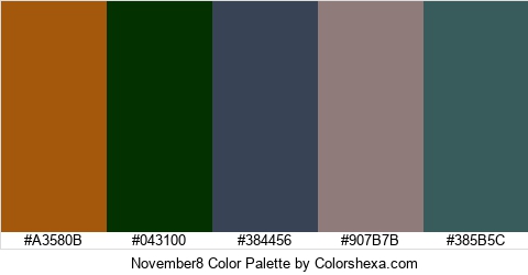 November8 Color Colors Logo