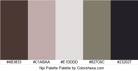 Npi Palette Colors Logo