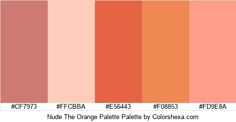 Nude The Orange Palette Colors Logo