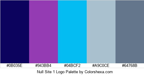 Null Site 1 Logo Colors Logo