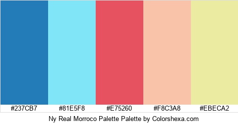 Ny Real Morroco Palette Colors Logo