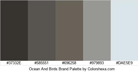 Ocean And Birds Brand Colors Logo