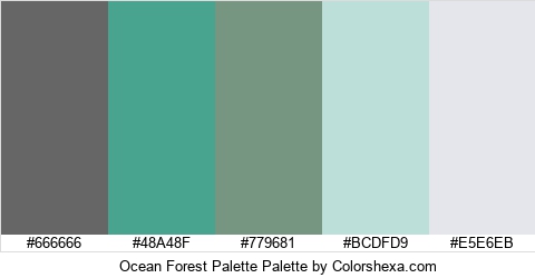 Ocean Forest Palette Colors Logo