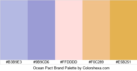 Ocean Pact Brand Colors Logo