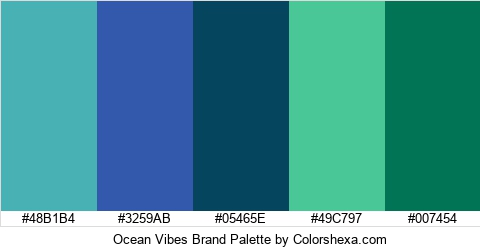 Ocean Vibes Brand Colors Logo