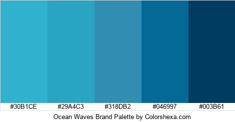 Ocean Waves Brand Colors Logo