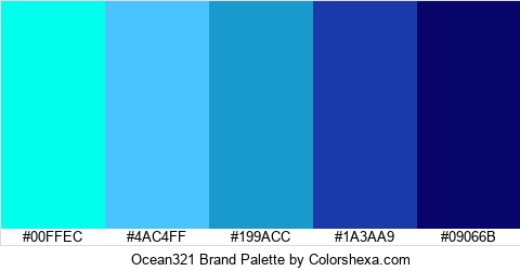 Ocean321 Brand Colors Logo