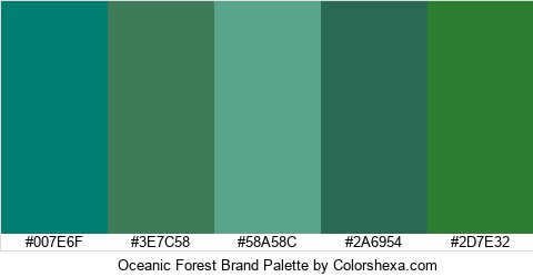 Oceanic Forest Brand Colors Logo