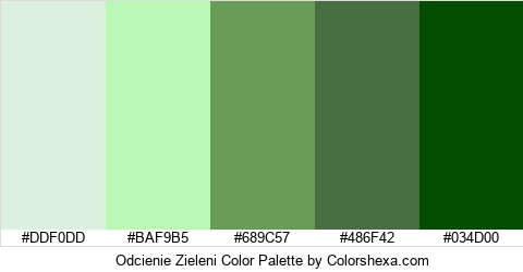 Odcienie Zieleni Color Colors Logo