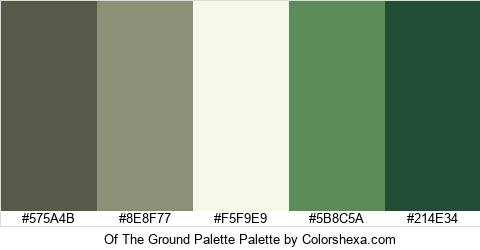 Of The Ground Palette Colors Logo