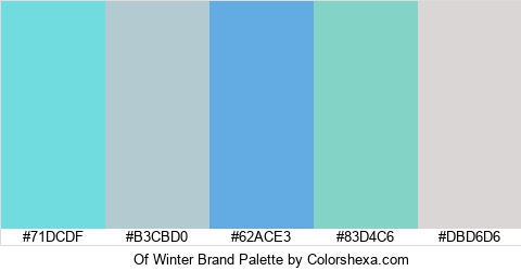 Of Winter Brand Colors Logo