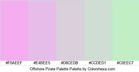 Offshore Pirate Palette Colors Logo