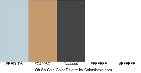 Oh So Chic Color Colors Logo