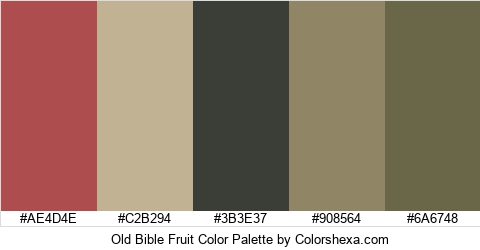 Old Bible Fruit Color Colors Logo